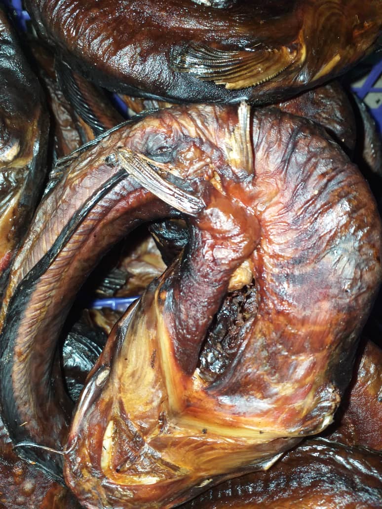 Venitz Integrated Farms tweet media