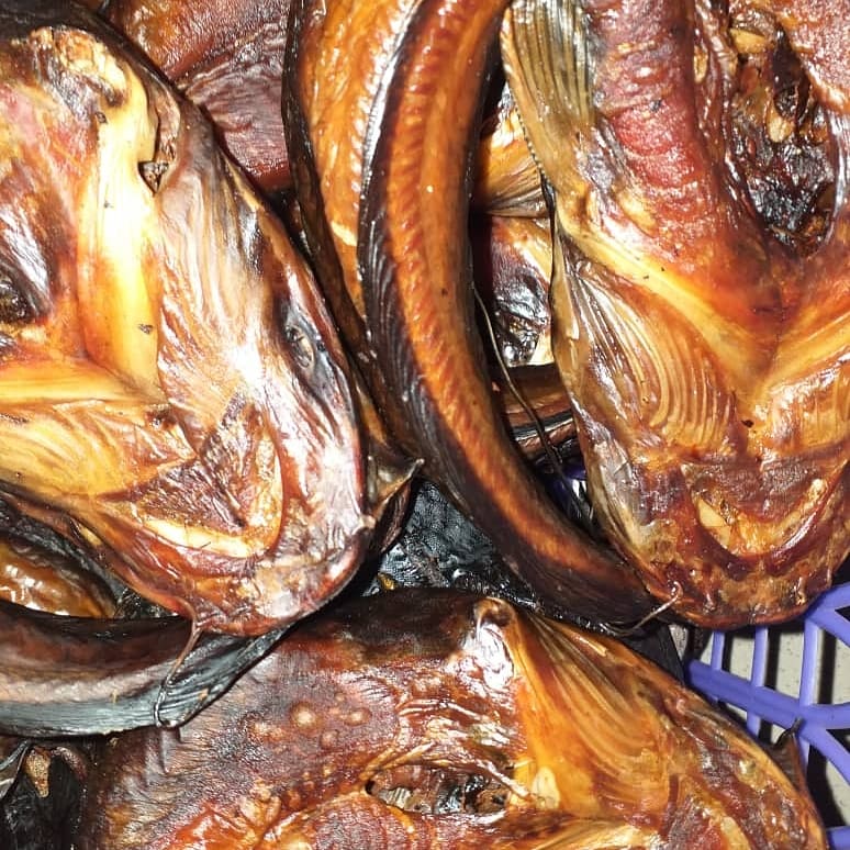 Venitz Integrated Farms tweet media