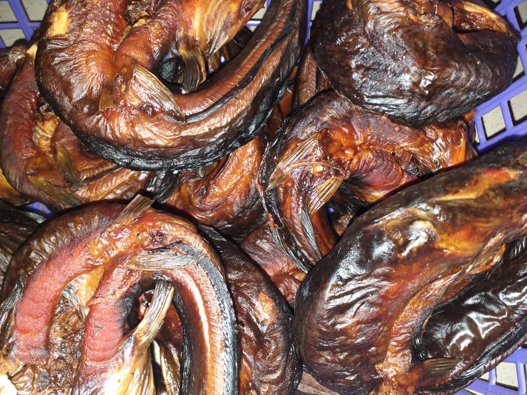 Venitz Integrated Farms tweet media