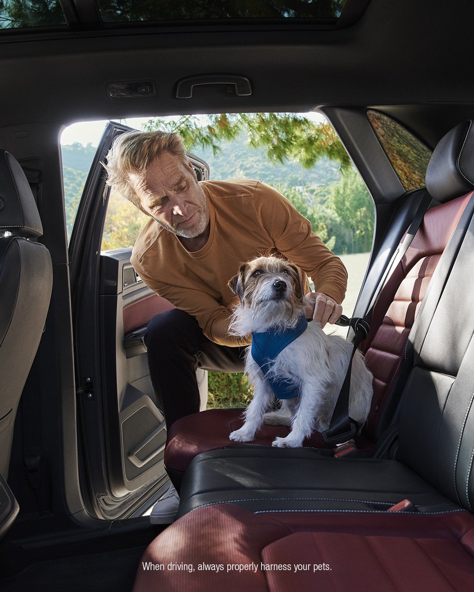 Does your pet love your car as much as you? Tag us in your pet pics and we'll reshare! So much #petlove in KC.