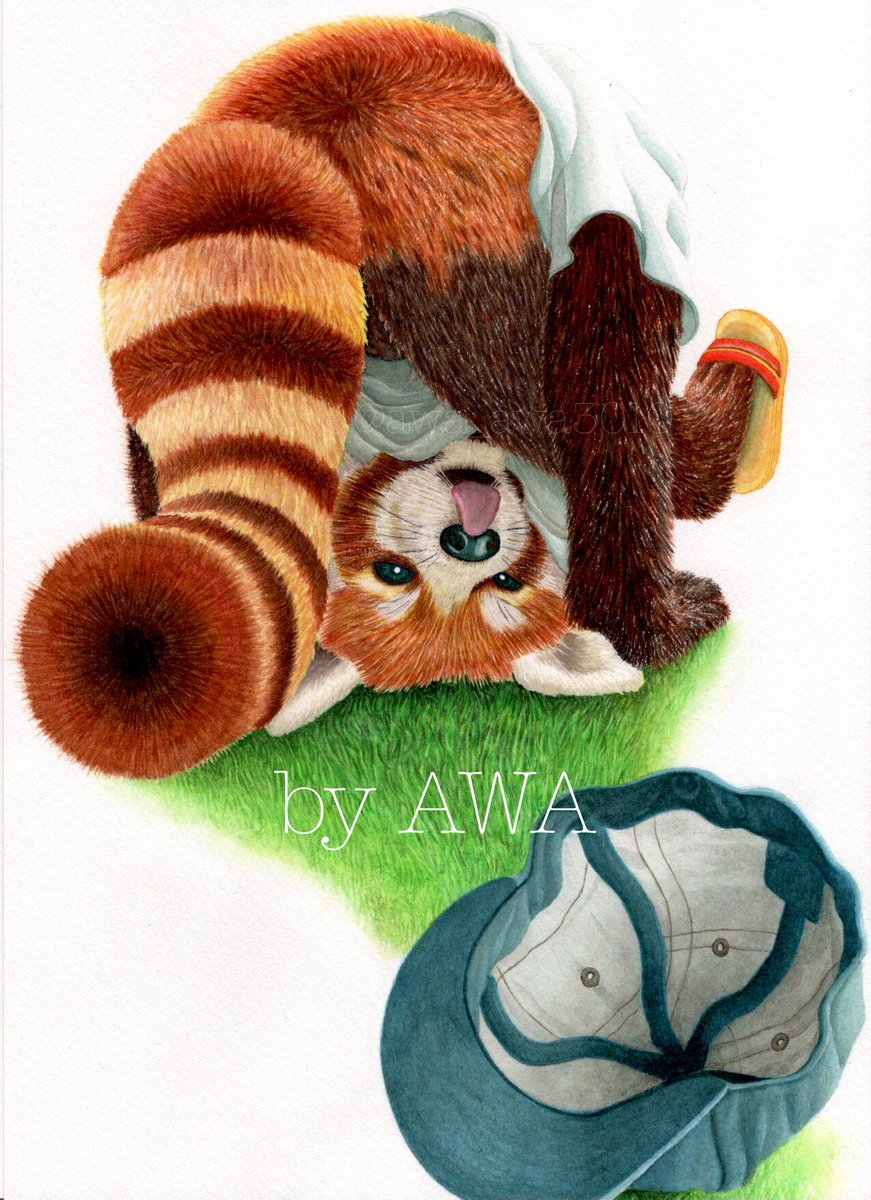 動物イラスト 動物イラスト