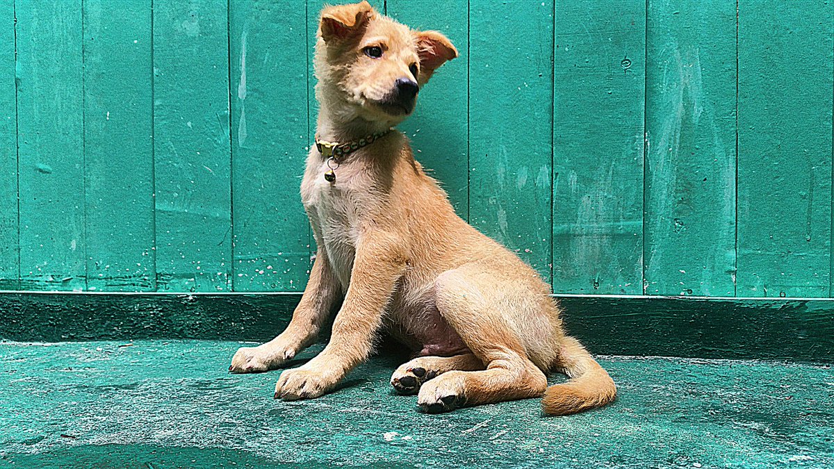 Basepoint Exeter tweet media