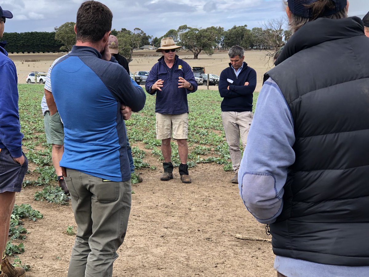 Thrive_Agri's tweet photo. A couple of great days on the Thriving Ewe Lambs tour. Lots of great discussion, different ideas, sharing and learning. Many thanks @paradooprime @cuyuac GSimson, TFleetwood, BYoung for sharing https://t.co/wXLfoEAO4W