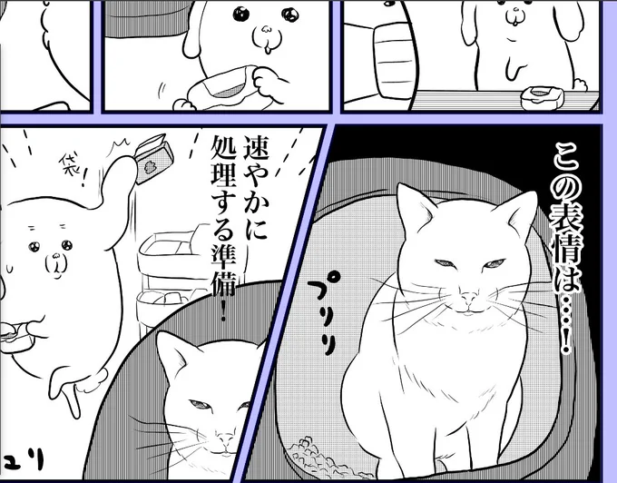 データまとめようとしたら途中までしか保存してなくてショック😂😂 