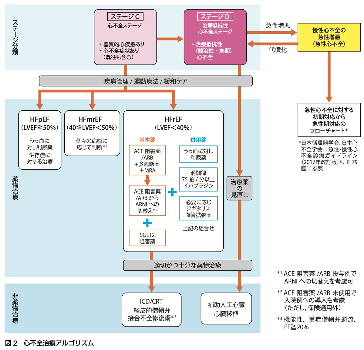 ガイドライン 心不全 蠢�ｸ榊� 繧ｬ繧､繝峨Λ繧､繝ｳ