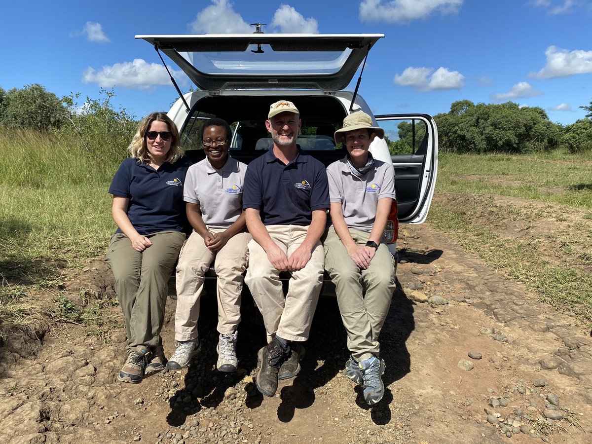 AndreaFuller06's tweet photo. Heading home after a successful week collaring wild dogs, thanks to the efforts of a great team. We missed having project leader @RosieWoodroffe and others in UK team join us. https://t.co/hcESGYZp34