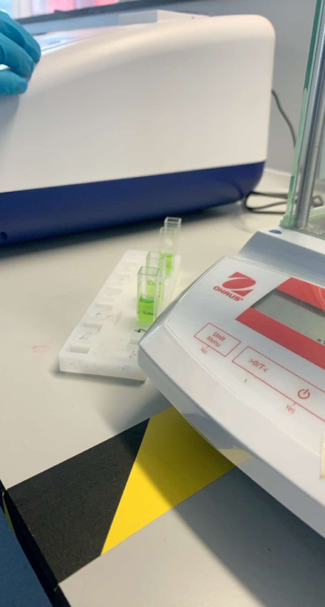 DannyScadding's tweet photo. It was nice to be back in the lab yesterday to do a plant practical!! It was strange but nice to be able to see people in a safe way! #biology #labwork #UoP https://t.co/mHnSxEi7NL