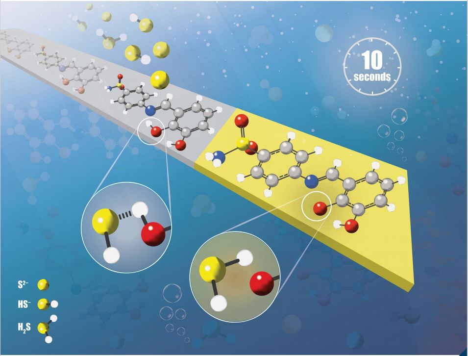 MethodsRSC's tweet photo. It's on the front #RSCMethodsCover. Check out 'A paper-based colorimetric chemosensor for rapid and highly sensitive detection of sulfide for environmental monitoring' by Nae Yoon Lee and first author, Duc Anh Thai. Available here 👉 https://t.co/6t77UCPuEa https://t.co/6LIYndYqnQ