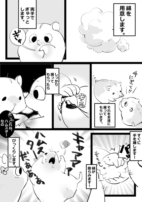 ハムスターどっきりのやり方。 