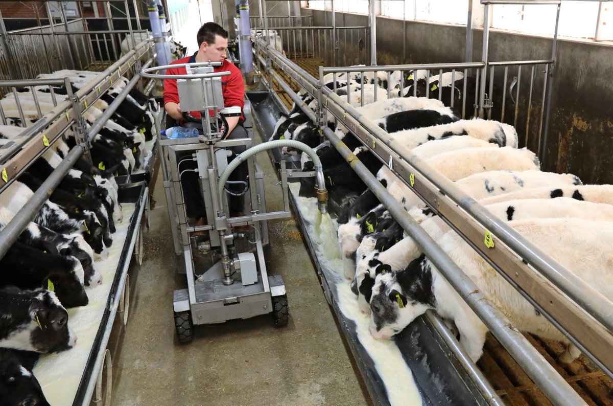 Evert Verwoert verkoopt kalfsvlees aan huis via Vlees van de Kalverhouder. De winst zit ’m niet in de marge, maar in het draagvlak. Een fotoreportage. 

boerderij.nl/Rundveehouderi…