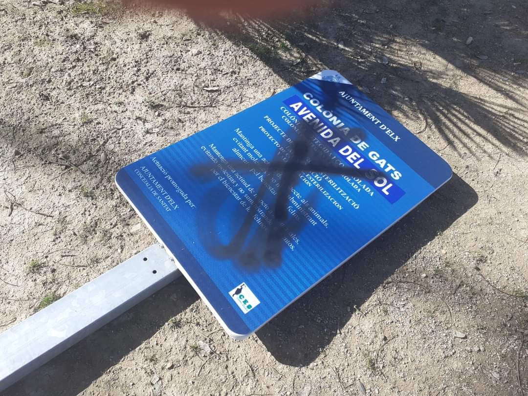 POR FAVOR SI TENEIS INDICIOS, PRUEBAS, HABEIS PASEADO POR ALLI Y VISTO CIERTA GENTE, LO QUE SEA, COMUNICARLO!

Sanidad.
966658051
sanidad@elx.es.

Policia local
966658092
Policia@elx.es

Medio ambiente
966658028
medioambiente@elx.es