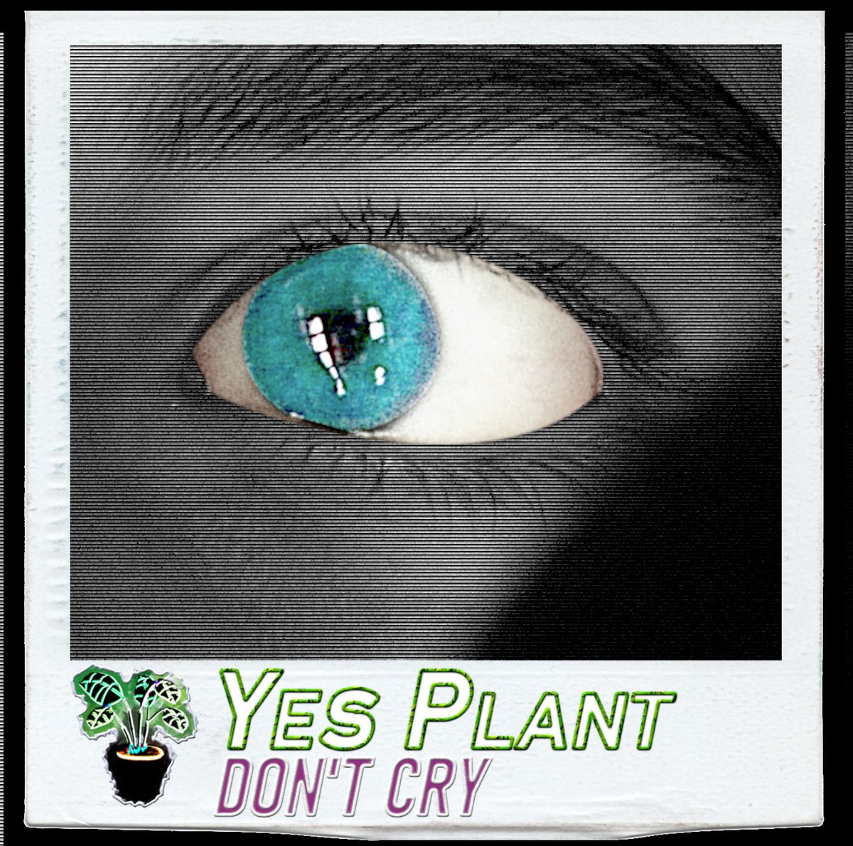 YesPlantMusic's tweet photo. DON’T CRY is out 🎉🎉 this track is a re-imagining of the Yes Plant track Mechanism, taking heavy influence from electro pop and alternative dance. Use the link in our bio to listen! https://t.co/d9Q3DFNIEJ