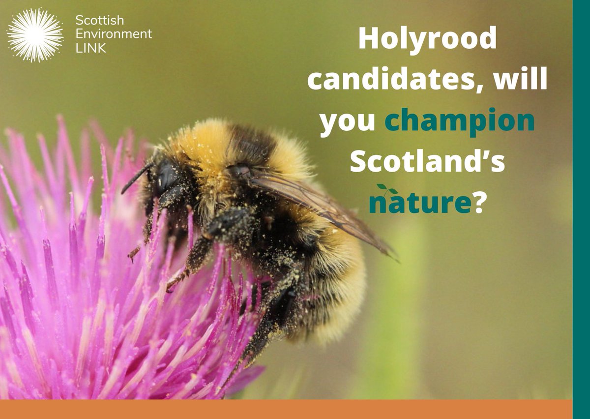 Almost half of #Scotland’s species have declined in numbers since 1970, &amp; 1 in 9 is at risk of extinction. It doesn’t have to be this way. We are asking #Holyrood 2021 candidates to champion Scotland's nature🌱#NatureChampion ow.ly/jNk150E8GDw