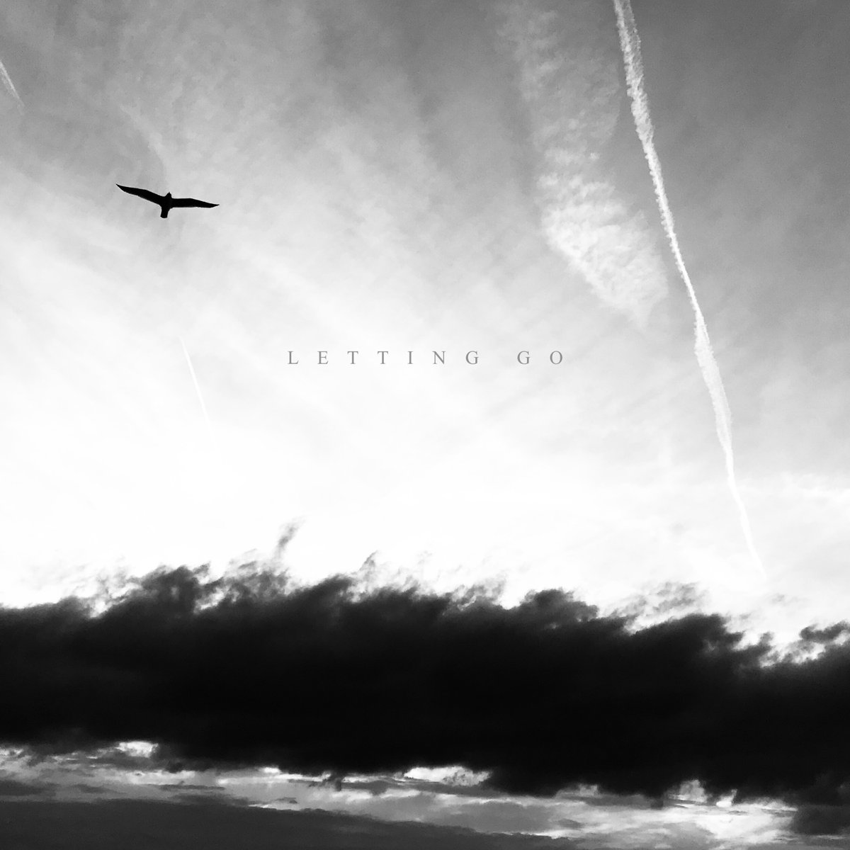 interpretnull's tweet photo. New single from Mirza Ramic out today in celebration of #PianoDay2021!
Listen to 'Letting Go':
https://t.co/2UK4cmcSx1
#mirzaramic #lettinggo #pianoday #interpretnull #armsandsleepers #piano #ambientmusic #postclassicalmusic #instrumentalmusic https://t.co/xU6dbalzwx