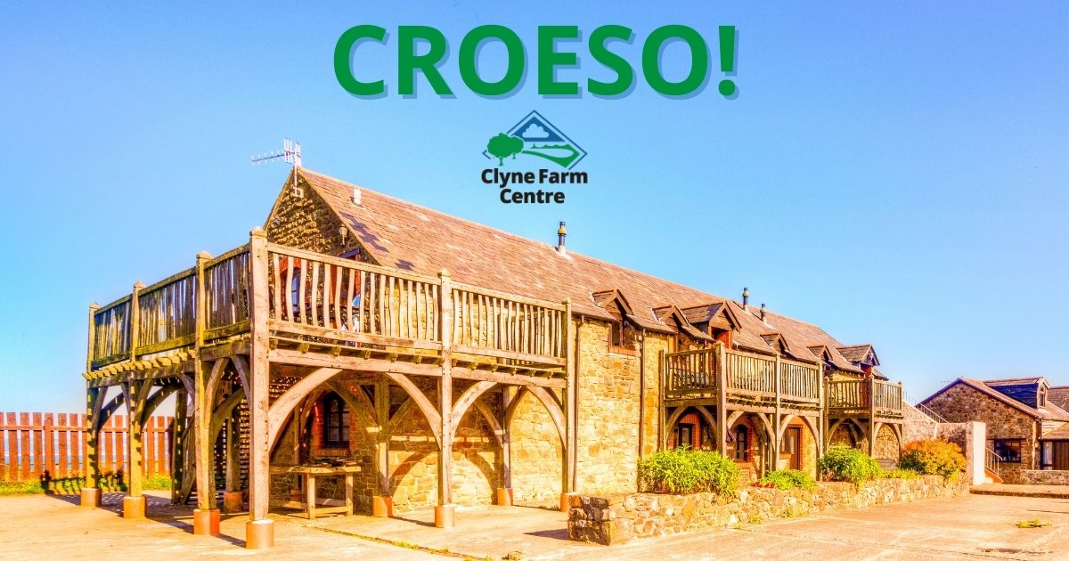 ClyneFarmCentre's tweet photo. We have had the green light to open our 9 #selfcatering cottages, and our #RidingStables from tomorrow! 

We've been working hard behind the scenes getting everything ready....the #horses are groomed, clipped &amp; fit, #hacking routes have been tested... https://t.co/vK7jkLz0oo