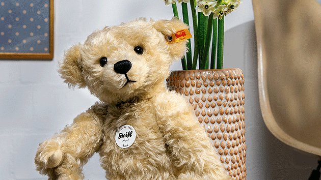 Steiff 2022 Event Teddy Bear 421709  Ashby Bears UK Steiff Authorised  Dealer