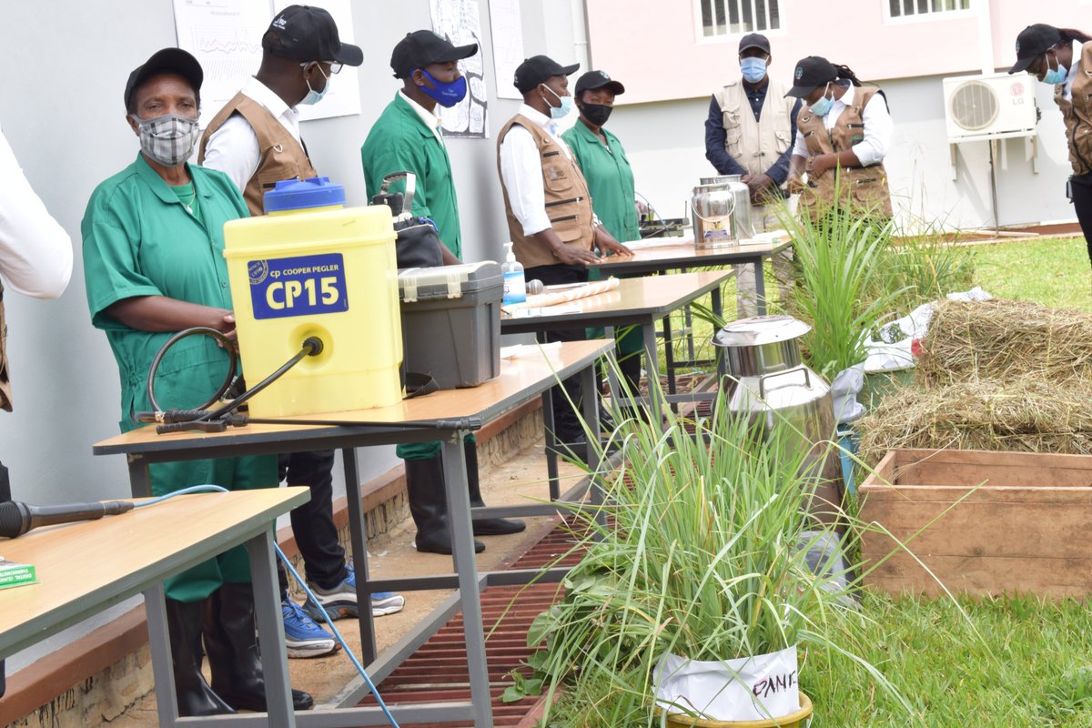 RwandaAgriBoard's tweet photo. Uyu munsi, RAB ibinyujije mu mushinga RDDP ku bufatanye na @FAORwanda yashoje amahugurwa y’abafashamyumvire bakuru mu bworozi (Livestock master trainers). Aya mahugurwa yibanze ku buryo bwo kwita ku nka z’umukamo, kwita no kuvugurura uruhererekane rw’amata, kurwanya indwara… https://t.co/PrGdigkz6G