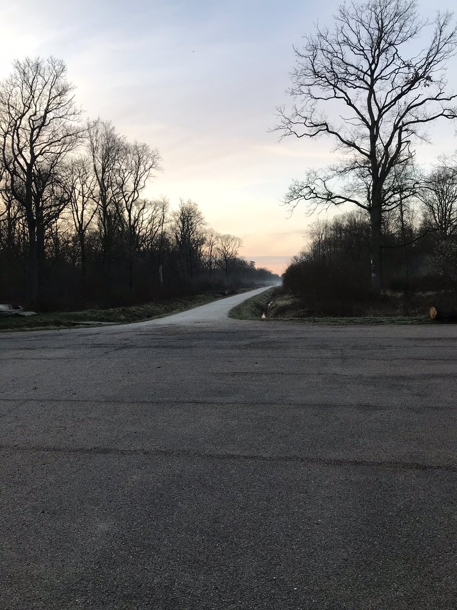 StefWuc's tweet photo. #velotaf #surmaroute https://t.co/aQ7tTTVDYB
