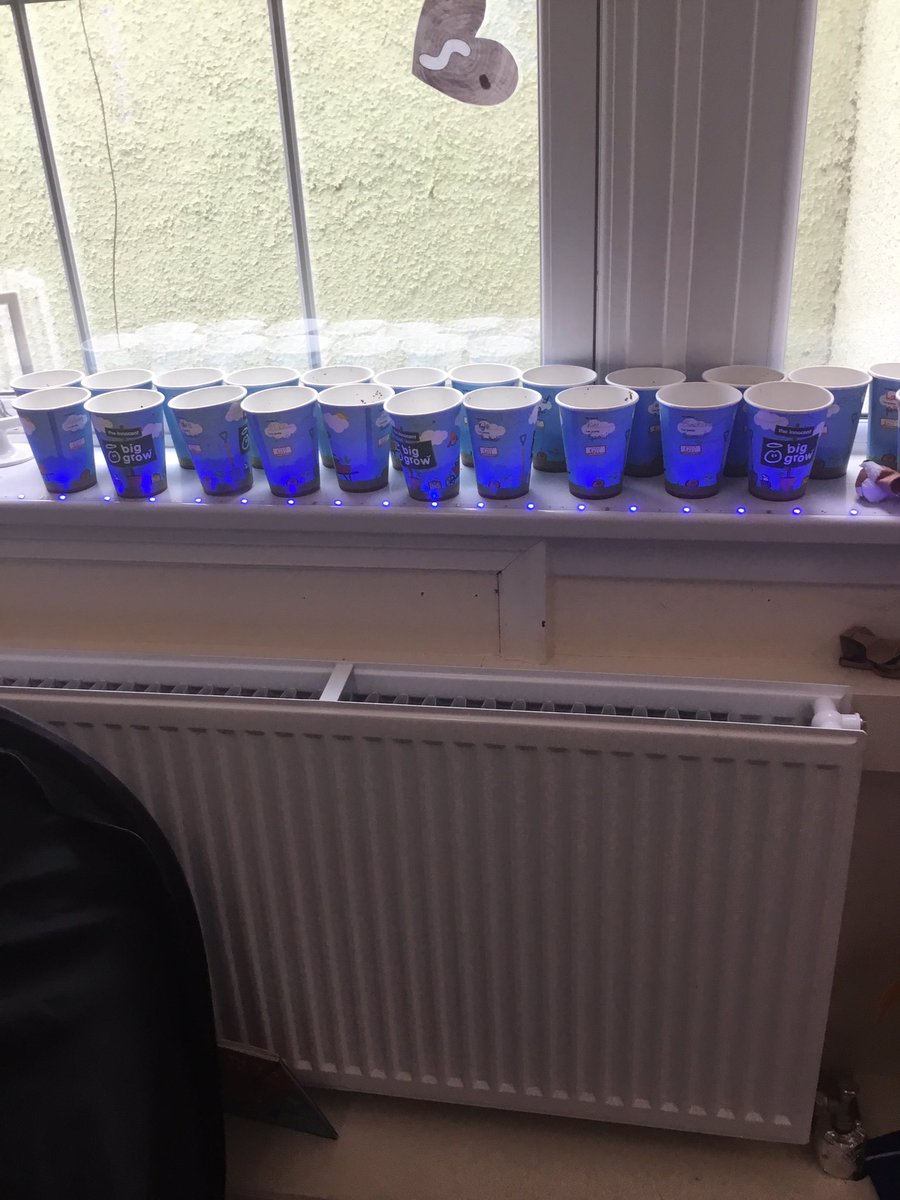 BalgreenPrimary's tweet photo. This week in #BalgreenTreehouse we have been lucky enough to have received a @innocent #biggrow goodie box. Our treehouse pupils have been getting green fingered & planting peas, radishes, beetroot, salad leaves & spinach. We canโt wait to see & taste our vegetables https://t.co/0BJ0wMg5jP