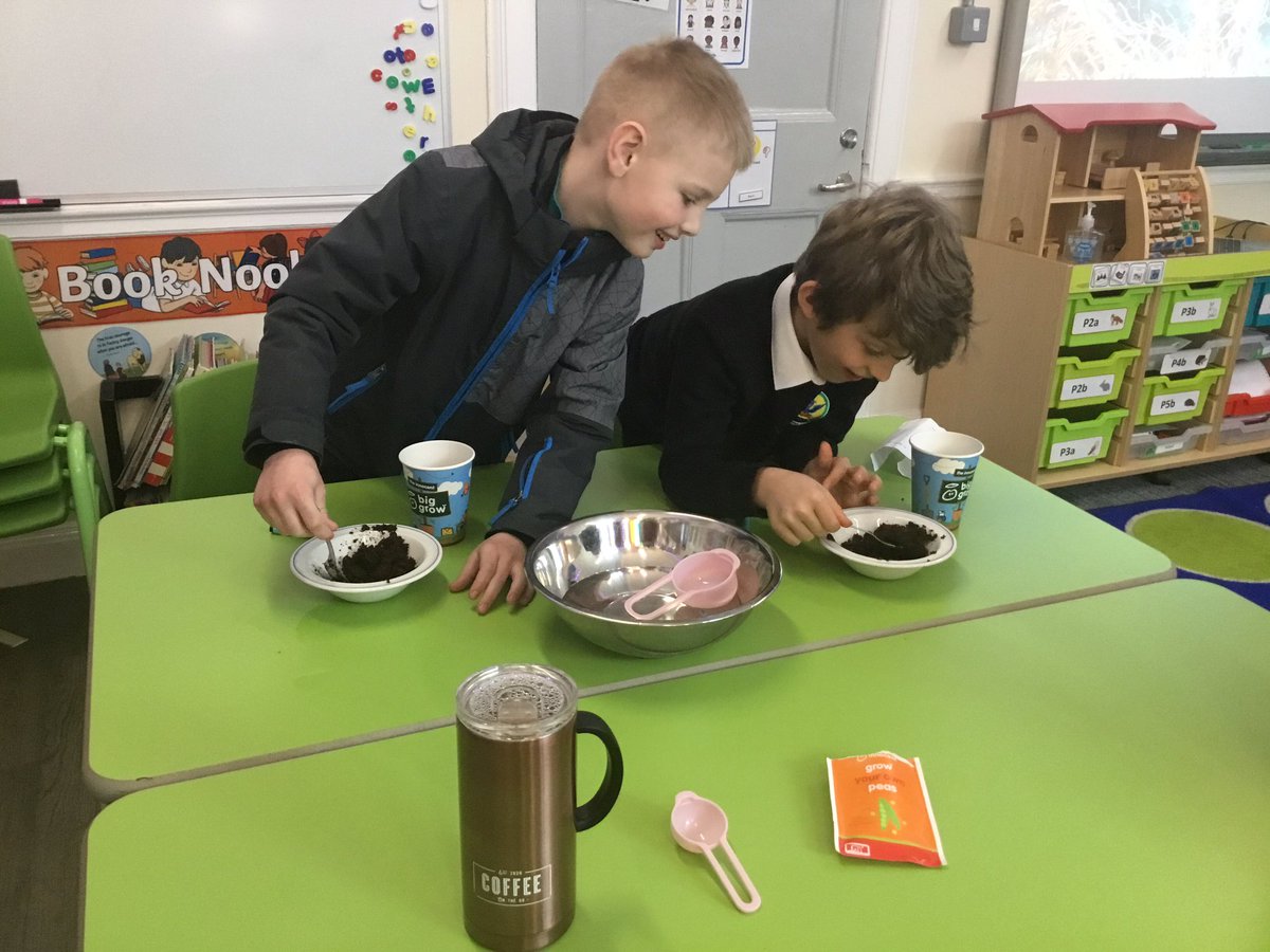 BalgreenPrimary's tweet photo. This week in #BalgreenTreehouse we have been lucky enough to have received a @innocent #biggrow goodie box. Our treehouse pupils have been getting green fingered & planting peas, radishes, beetroot, salad leaves & spinach. We canโt wait to see & taste our vegetables https://t.co/0BJ0wMg5jP