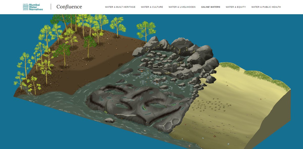 Marine Life of Mumbai tweet media