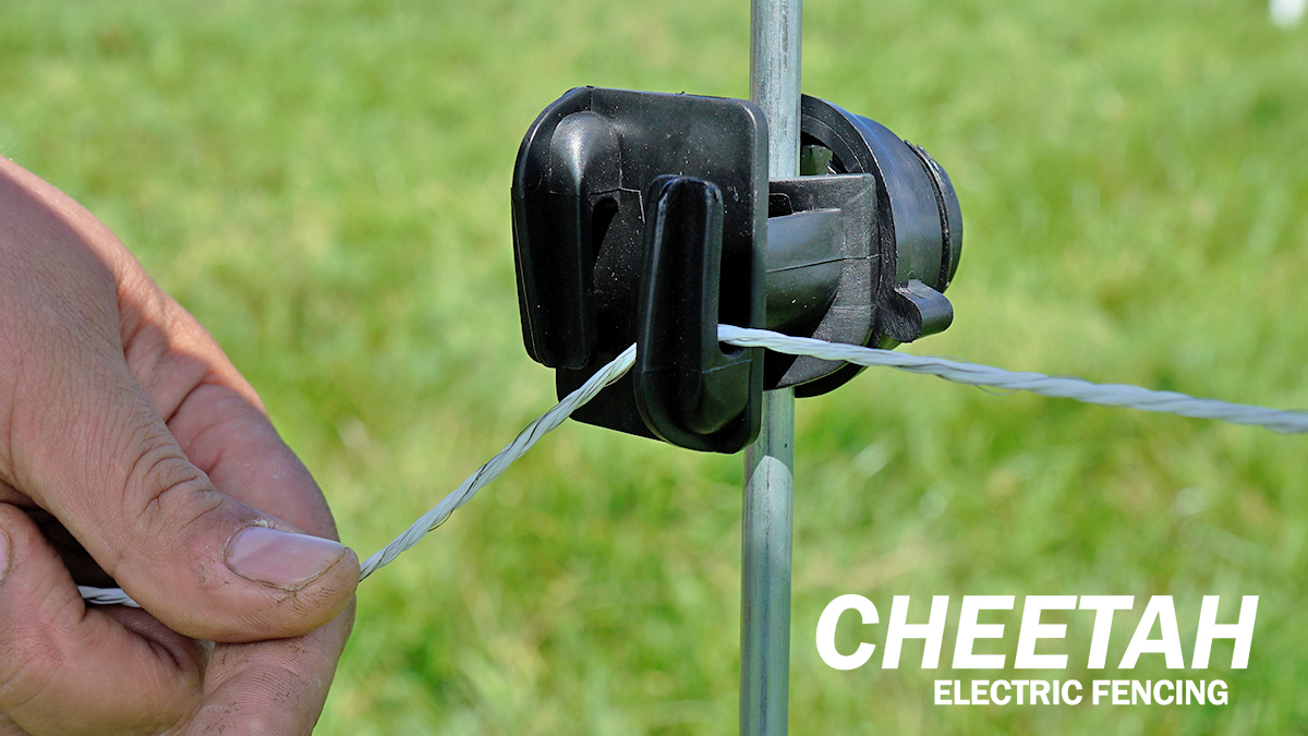 cheetah electric fence
