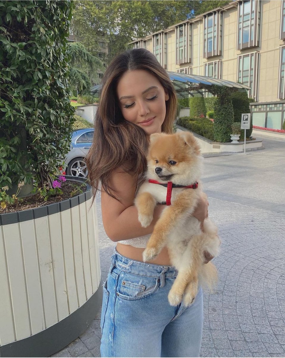 Seymatopalcan's tweet photo. my little baby ❤ https://t.co/nZbwWh0tnR