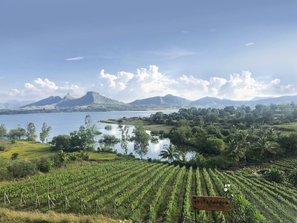 Wine lists also have the chance to become more diverse and support winemaking around the world like the new <a href="/WinesInIndia/">Wines in India</a> import business focused on bringing the best Indian producers to the UK. <a href="/sumi_sumilier/">Sumita Sarma (Sumi)</a> has the story on <a href="/TheBuyer11/">The_Buyer</a> the-buyer.net/people/wines-i…