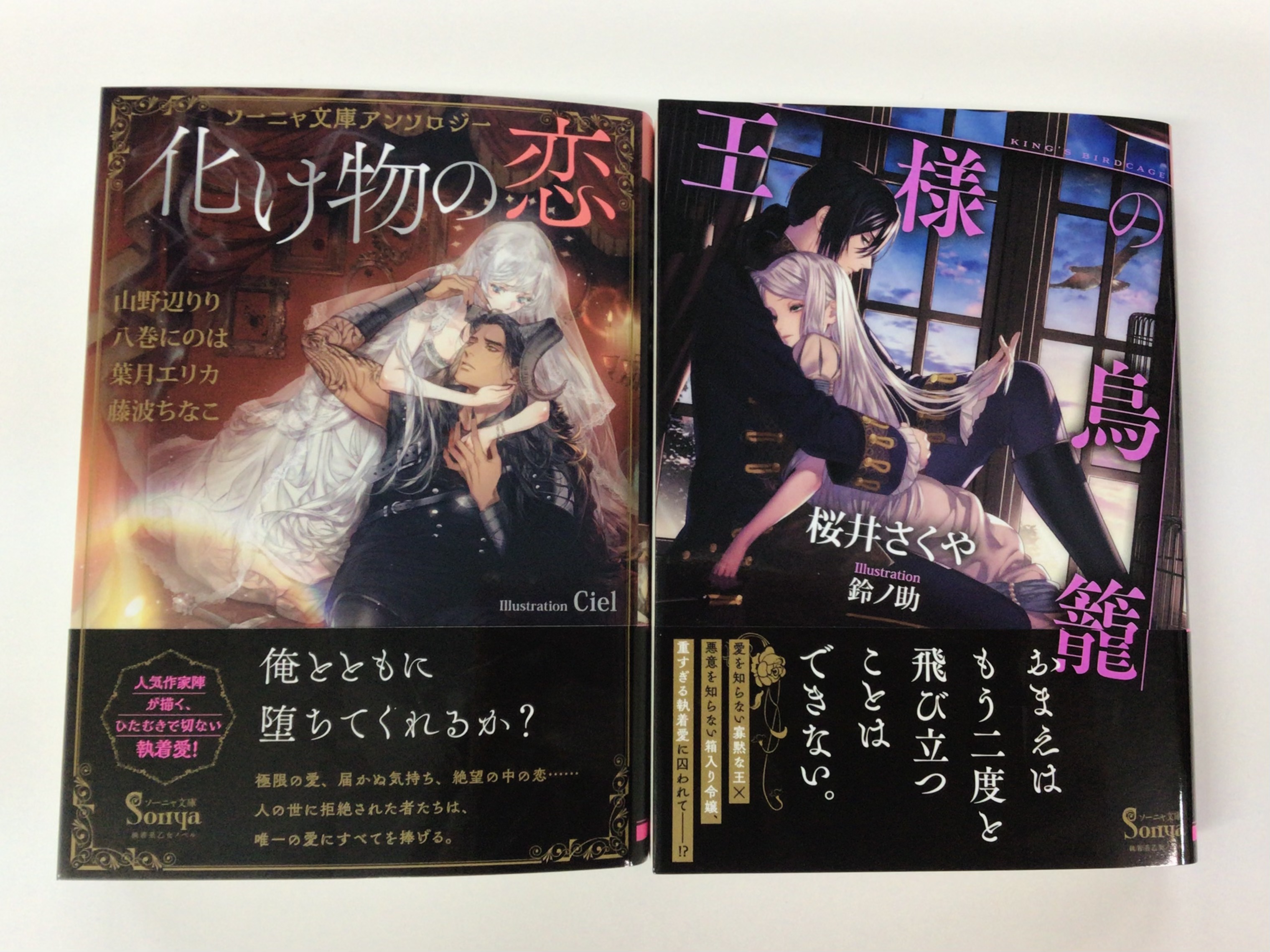 ソーニャ文庫 ソーニャコミックス ソーニャ文庫4月刊 4月3日全国発売予定 ソーニャ文庫アンソロジー 化け物の恋 山野辺りり 八巻にのは 葉月エリカ 藤波ちなこ イラスト Ciel T Co 9cagmfqbdj 王様の鳥籠 桜井さくや
