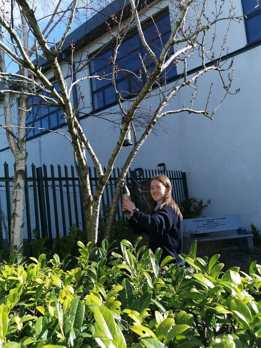 PresGreenSchool's tweet photo. 💚 Thanks to Chloe who put up #birdfeeders to increase #biodiversity at @Pres_Carlow. @ceist1 @GreenSchoolsIre https://t.co/9e9hqnA1GE