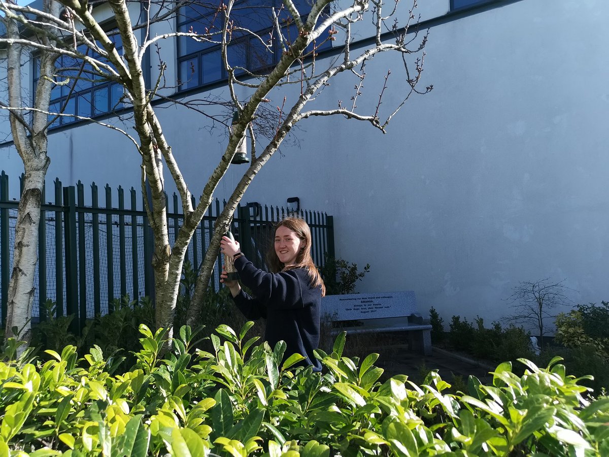 PresGreenSchool's tweet photo. 💚 Thanks to Chloe who put up #birdfeeders to increase #biodiversity at @Pres_Carlow. @ceist1 @GreenSchoolsIre https://t.co/9e9hqnA1GE
