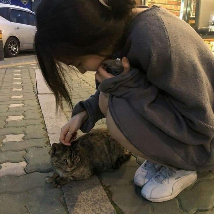 Literalmente yo cuando veo un animalito en la calle 🥰