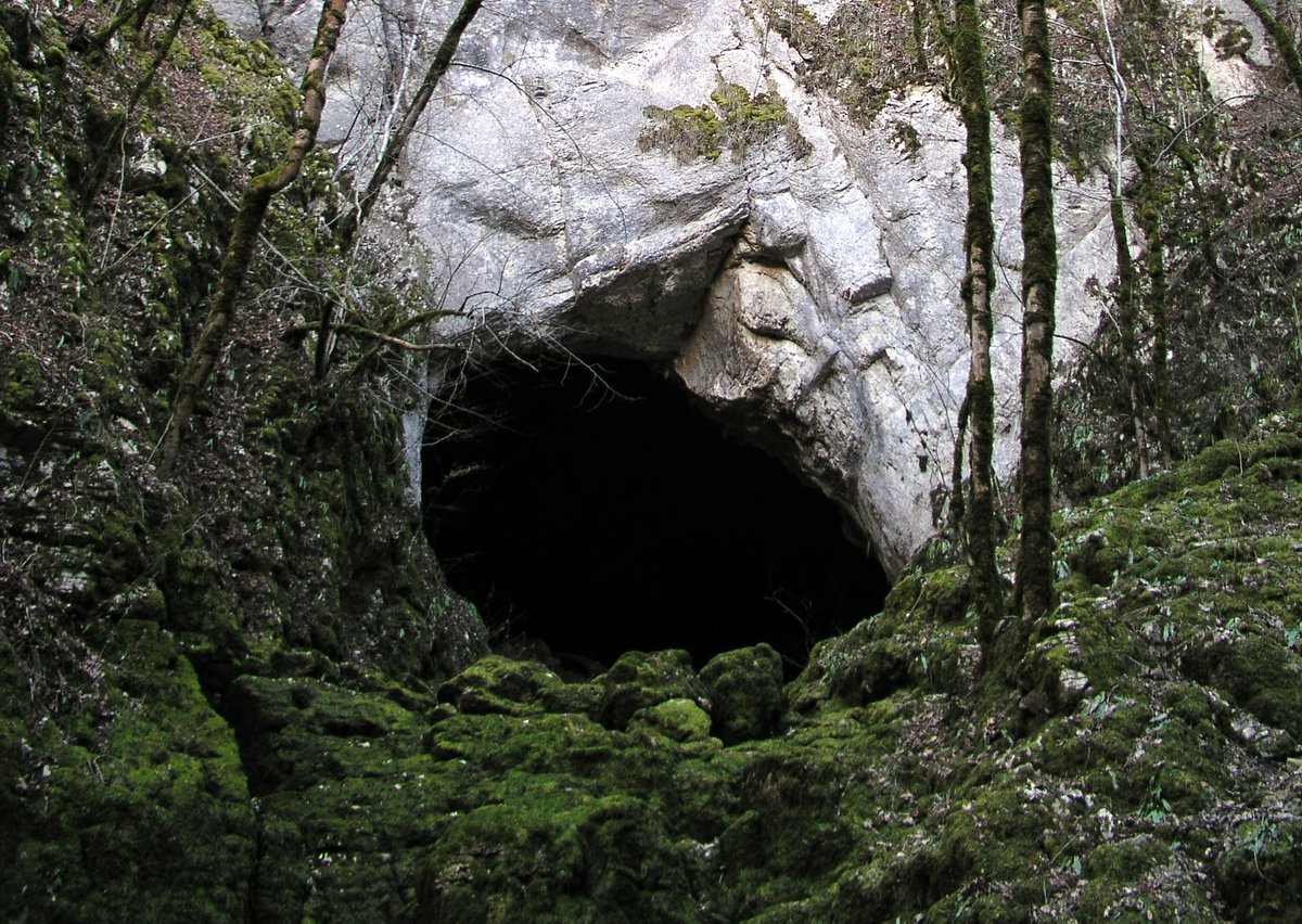 akhyPessiPotter's tweet photo. Une grotte // une groat https://t.co/vlspadL1VN