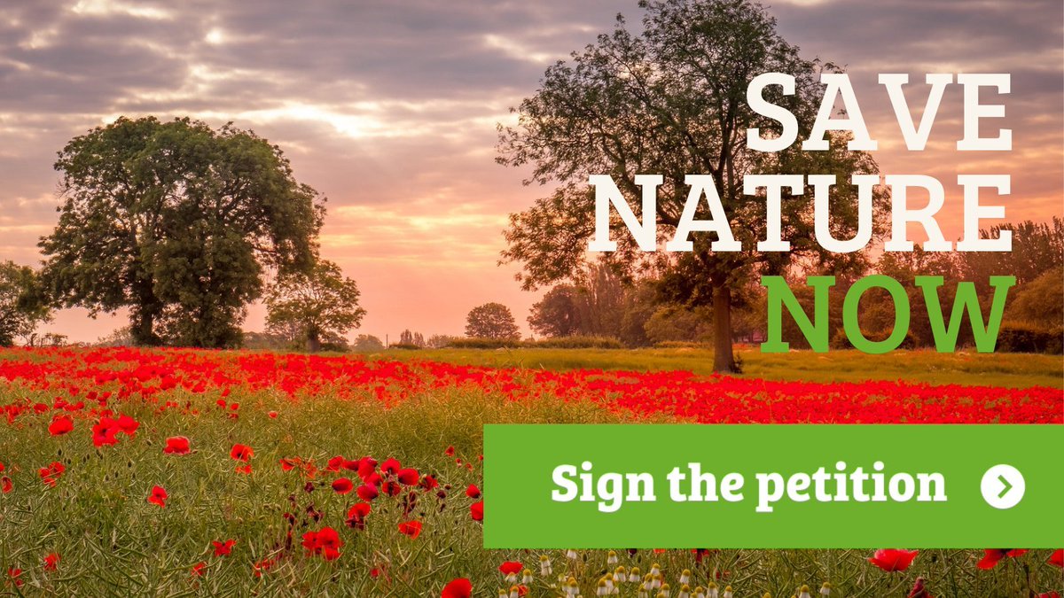 Have you signed the #StateOfNature #EnvironmentBill petition yet? Have you shared it with 5 friends? #Tell5Friends We need nature’s recovery in law and it can only happen is we all speak up for bats and other wildlife. It only takes two minutes to do: bats.org.uk/news/2021/03/w…