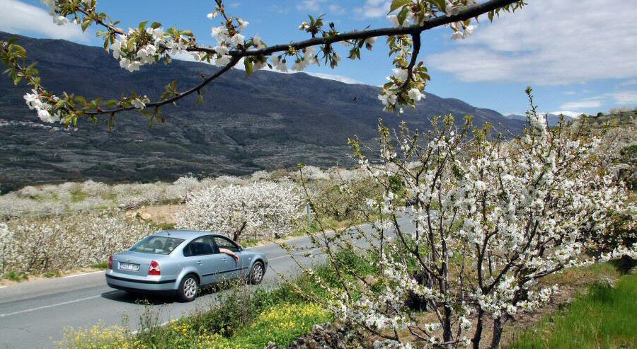 vallejerte_tur's tweet photo. 🌸 @elconfidencial sitúa las carreteras del VALLE DEL JERTE entre "Las 10 carreteras españolas más bonitas para disfrutar del viaje esta primavera" las vías que permiten desplazarse hasta los rincones más bellos del país:  https://t.co/cKiz9qcTib #PrimaveraJerte 🌸🌳🌸🐴🌸🌿 https://t.co/a5kRva7nCx
