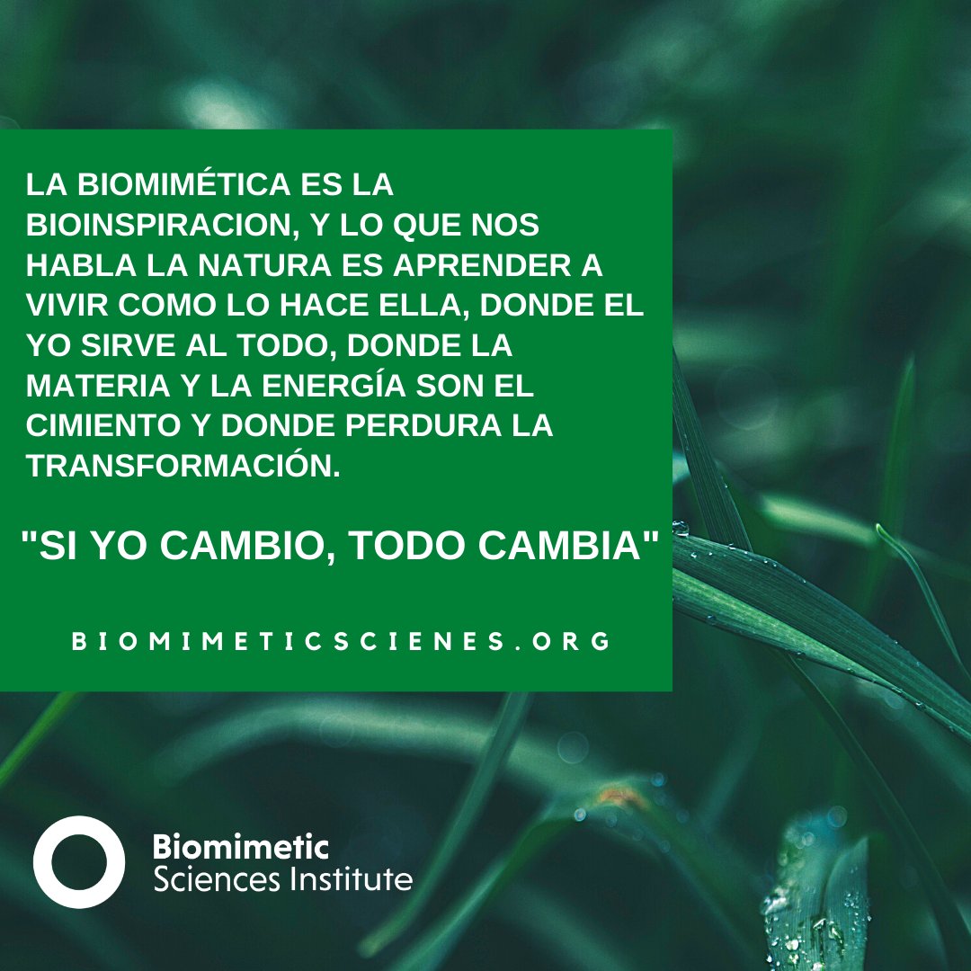 bsi_bcn's tweet photo. Podéis disfrutar vuestros tiempos libres para ir a la naturaleza para bioinspiraros y seguir avanzando en el día a día.
#biomimcry #nature #inspiration4contest https://t.co/YsNdpIogW9