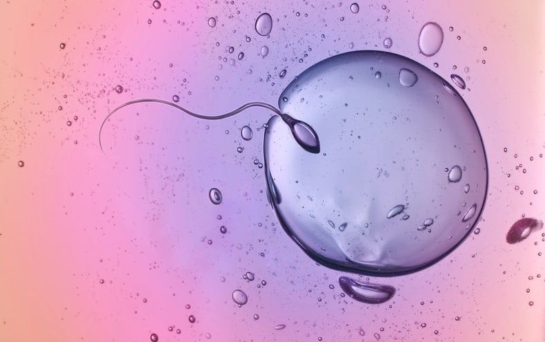 Tobias Boecker tweet media