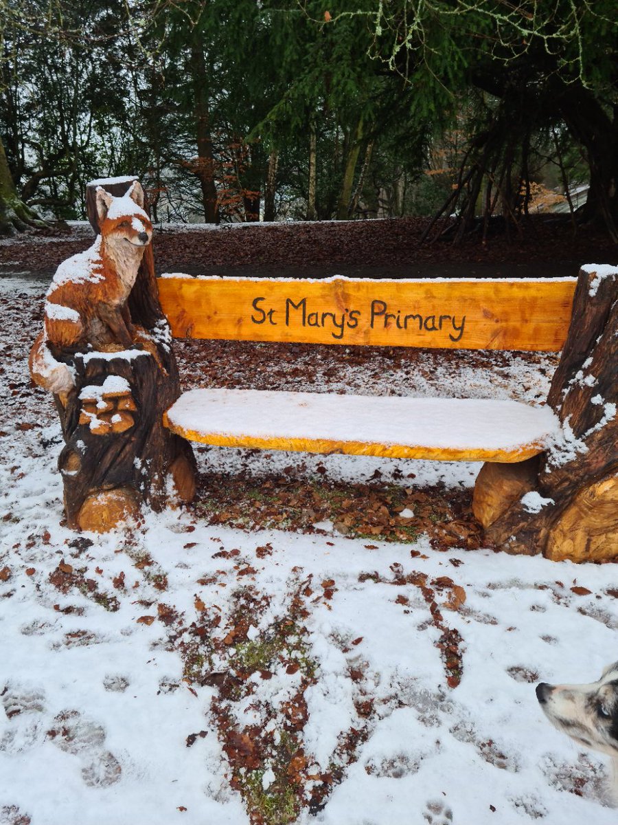 Great to see our bench used for outdoor leanring. Working with Carmen Foundation to design benches in Holmehill #community #dementiafriendlydunblane @NewtonPrimary01 @DunblanePrimary @DunblaneHS @DementiaFriend5 #outdoorlearning @JohnMuirTrust