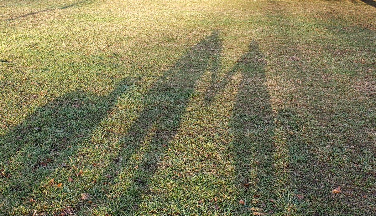 Jessica Potts.com tweet media