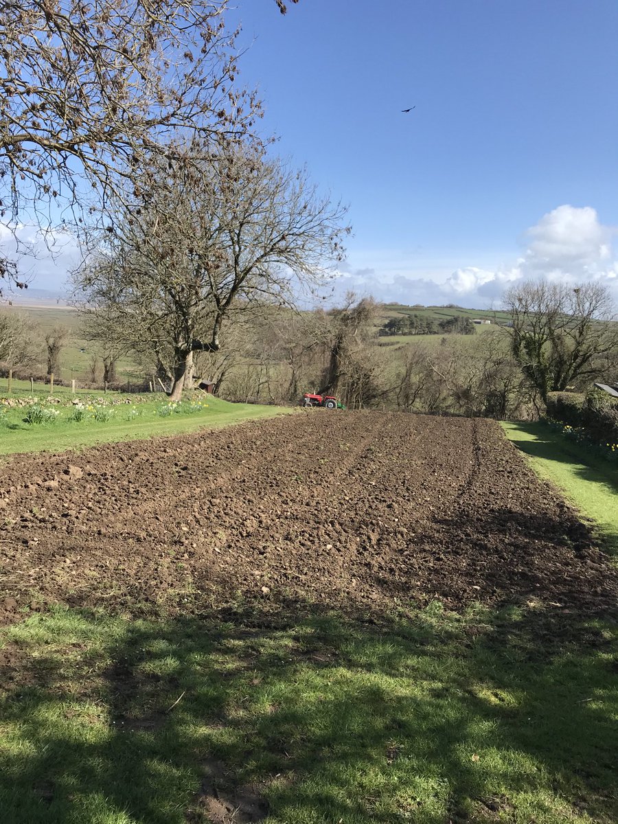 Ploughed and rotavated and ready for wildflower seed🌻
