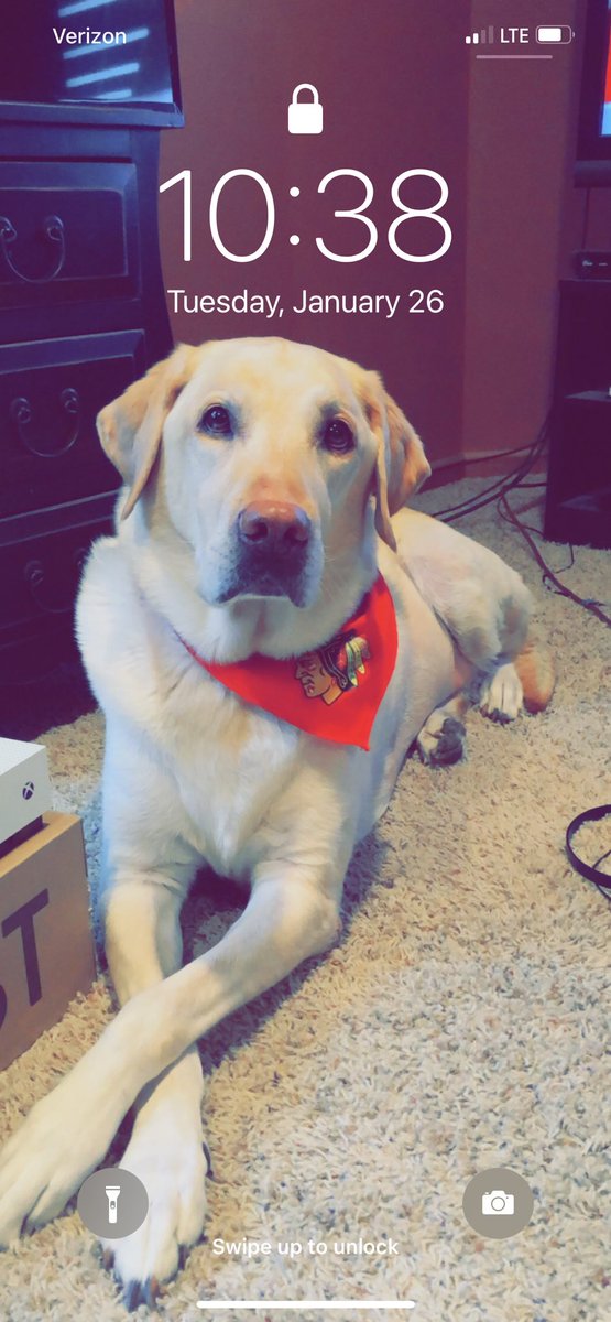 Creece22's tweet photo. A year ago today I had to say goodbye to my best friend in the entire world I think about you everyday and remember all our great times we had together. Until we meet again my furry best friend. ❤️ https://t.co/mn4XeUEWX4