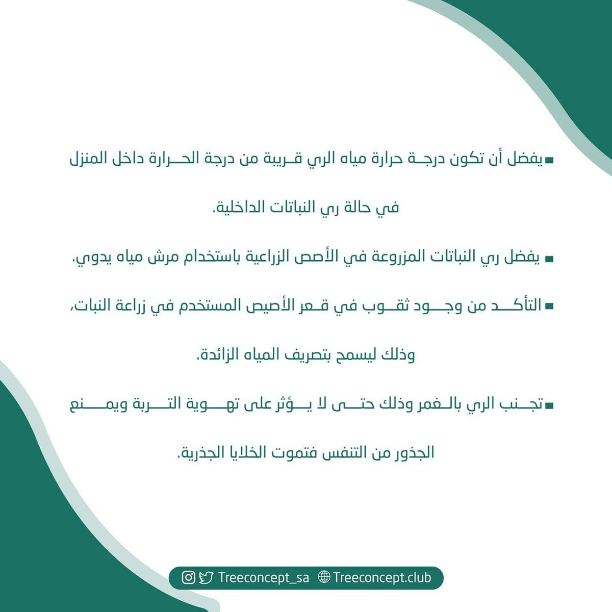 treeconcept_sa's tweet photo. تعد عملية ري النباتات مهمة لنمو النباتات بشكل سليم، وهذه نصائح لتنظيم عملية الري بالكمية المناسبة وعلى حسب حاجة النباتات. #مفهوم_الشجرة #أصدقاء_مفهوم_شجرة #البيئة #النبات #زراعة_عضوية #زراعة_الأسطح   #مزارع #الشتاء #الزراعة_المنزلية #النباتات #السعودية  #البيئة_لنا_ولأجيالنا https://t.co/pcp8oRBCW4