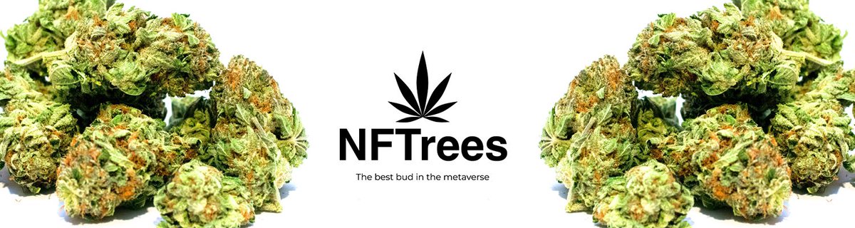 nftrees tweet media