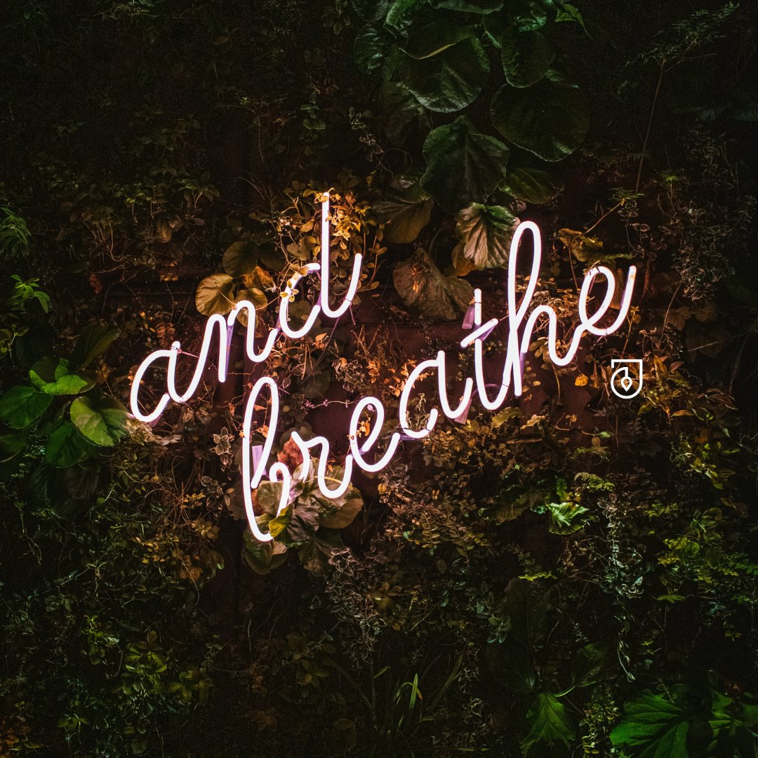 ener_tea's tweet photo. Ahhh, now breathe (finally). The work week is over! Great job getting through 👊 https://t.co/g5GeTrtk8l