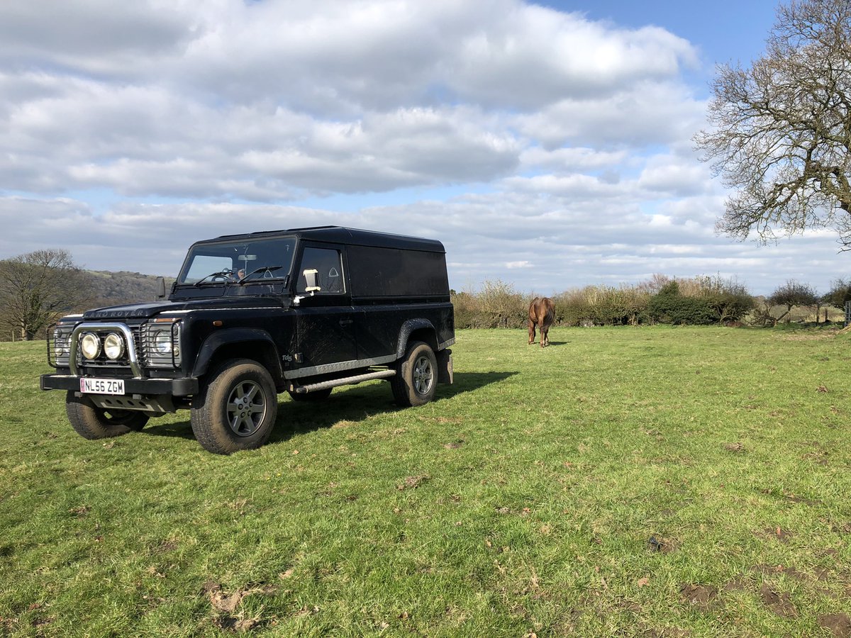 tarnbrookstud's tweet image. Glorious day on the “estate” &amp;amp; impatiently waiting for Annie Besant to foal