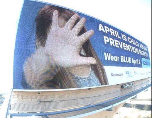 Washoe CASA tweet media