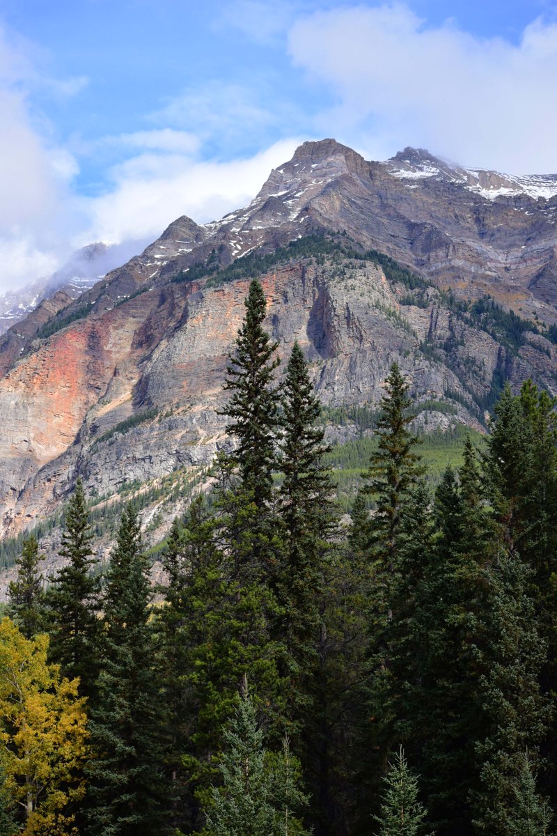 NYCSandyTaylor's tweet photo. The #Canadian #Rockies are gorgeous! #Buy this #print &amp; see them every day! https://t.co/2xQDkchTZ4 #photography #wallart #homedecor #shopping #nature #landscape https://t.co/qhhxRWqw8U