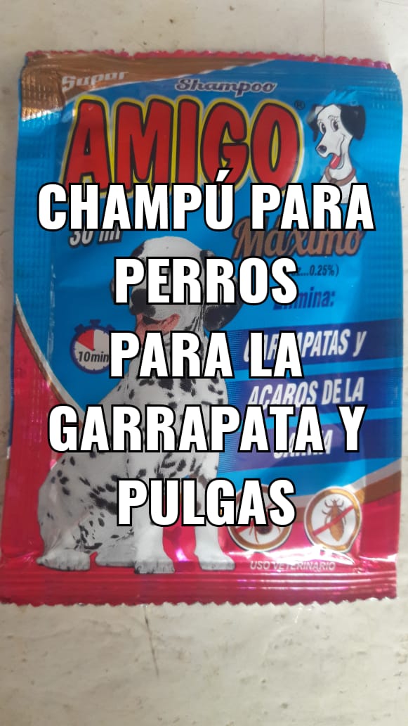 vici33886884's tweet photo. @evoespueblo Funciona con FALSOS INDÍGENAS SOBRE TODO PEDOFILOS https://t.co/oMXY5TqMDy
