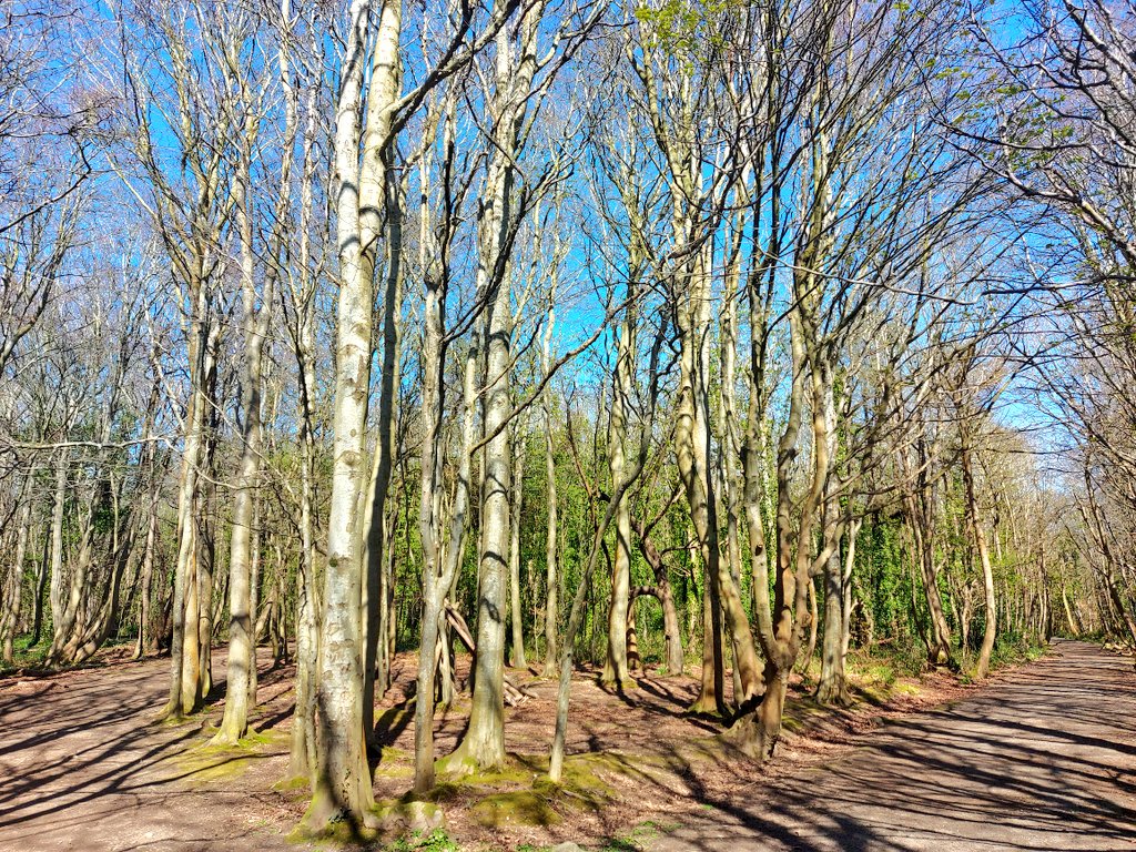 Vaughan_Wms's tweet photo. Os efo diddordeb gwarchod #Penrhos #Caergybi, dilynwch @PenrhosSave.

If you're interested in saving Penrhos in #Holyhead please follow @PenrhosSave.

@IoloWilliams2 https://t.co/lbGuJ4Q3Wr