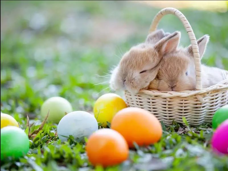 The MBA of NY wishes everyone a happy Easter weekend! 
#happy #easter #easterbasket